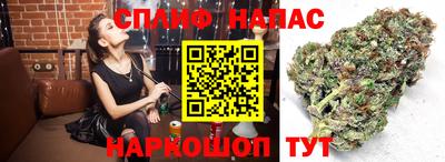 MESCALINE Новокубанск