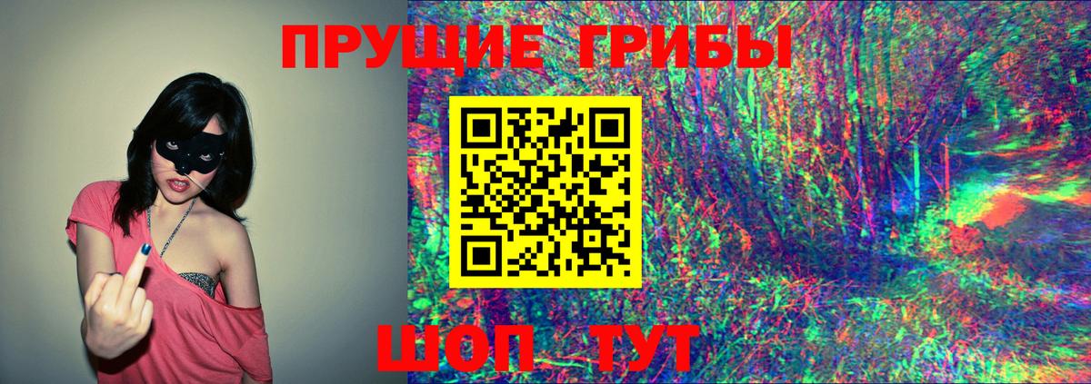Галлюциногенные грибы Cubensis  Вход с VPN  Псилоцибиновые грибы Cubensis  Обь 