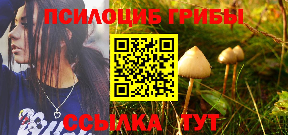 Галлюциногенные грибы GOLDEN TEACHER Обь
